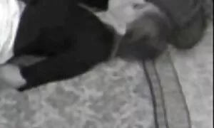نمایش عکس سکسی انیمیشن لباس زیر داخلی تایوان