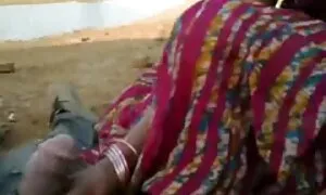 یک تصاویر متحرک لیسیدن خر بالغ چهار عضو دارد