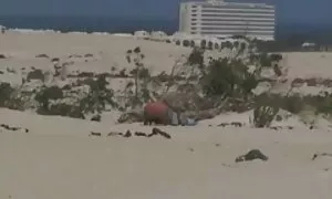 جولیا بلافاصله دو گوزن را وارد سوراخ دانلود تصویر سکس ها کرد