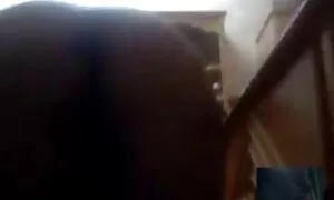 به یک عامل شلخته روسی یک تصاویر سکس جالب پانسیون داد