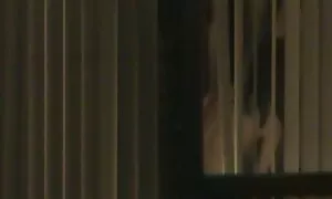 زیبایی در آشپزخانه مانند یک عاشقانه است عکس پستون متحرک